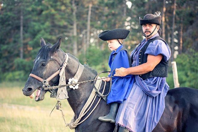 Horseshow on the Hungarian Puszta, private tour from Budapest with entry! - Key Highlights You Should Actually Care About