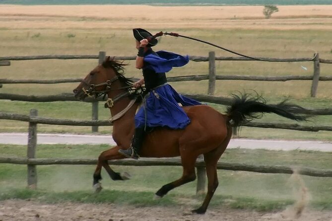 Horseshow on the Hungarian Puszta, private tour from Budapest with entry! - Price and Value: What $360 Buys Beyond the Ticket