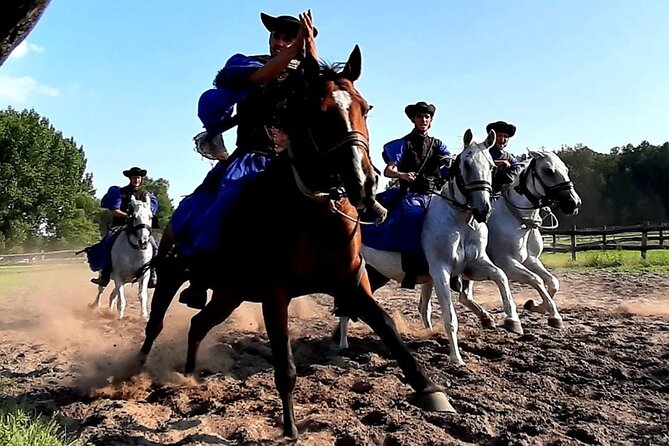 Horseshow on the Hungarian Puszta, private tour from Budapest with entry! - How Long It Takes, and How to Plan Your Day in Budapest