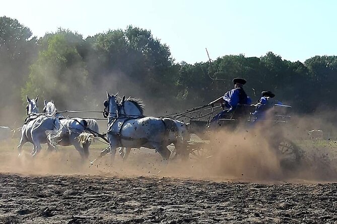 Horseshow on the Hungarian Puszta, private tour from Budapest with entry! - Who Should Book This Puszta Day Trip, and Who Might Not