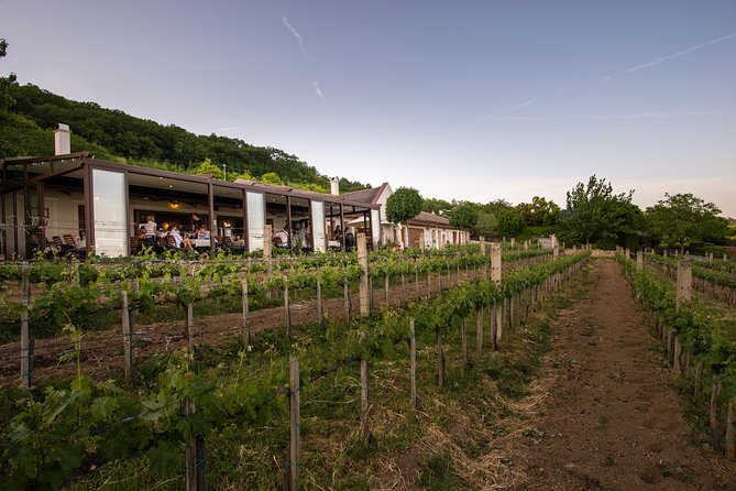 Lake Balaton Full Day Private Wine Tour - Lunch, water, and the small stuff that makes a wine day easier