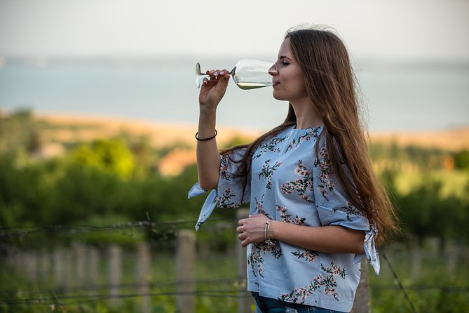 Lake Balaton Full Day Private Wine Tour - Logistics that feel simple: start time, private vehicle, and timing