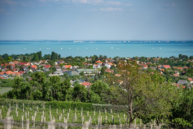 Lake Balaton Full Day Private Wine Tour - Balatonfüred and the Tagore Promenade: spa-town calm without the rush