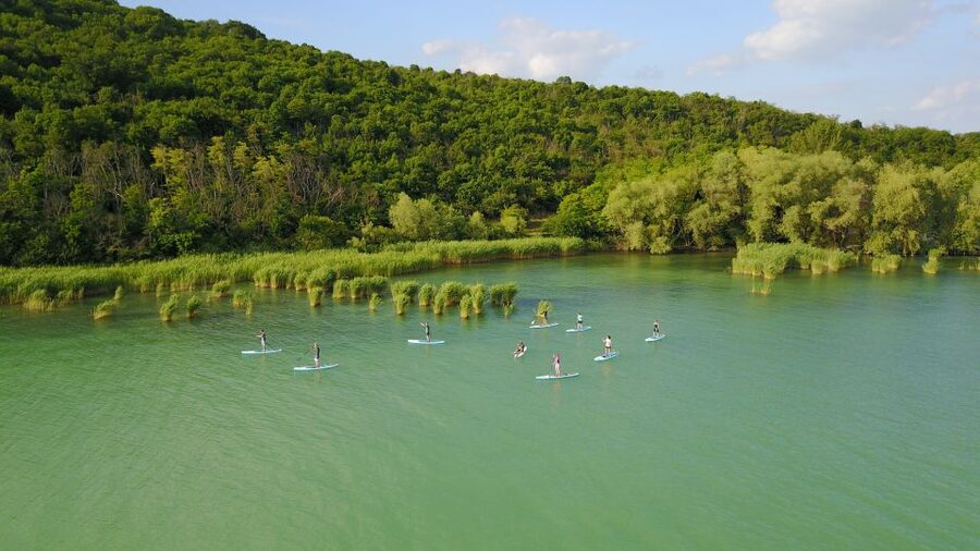 Lake Balaton: Paddle Board Tour of Tihany National Park - Key Things I’d Prioritize Before You Go