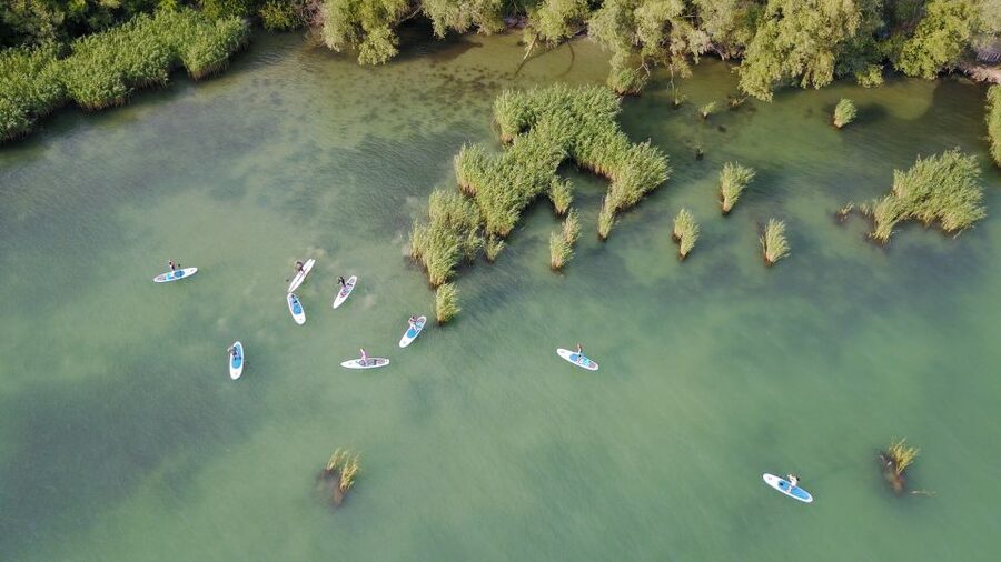 Lake Balaton: Paddle Board Tour of Tihany National Park - Check-In at Club Tihany: Boards, Life Jackets, and a Real Intro