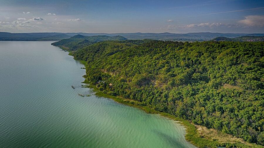 Lake Balaton: Paddle Board Tour of Tihany National Park - Guides and Group Feel: What Makes the Experience Go Smooth