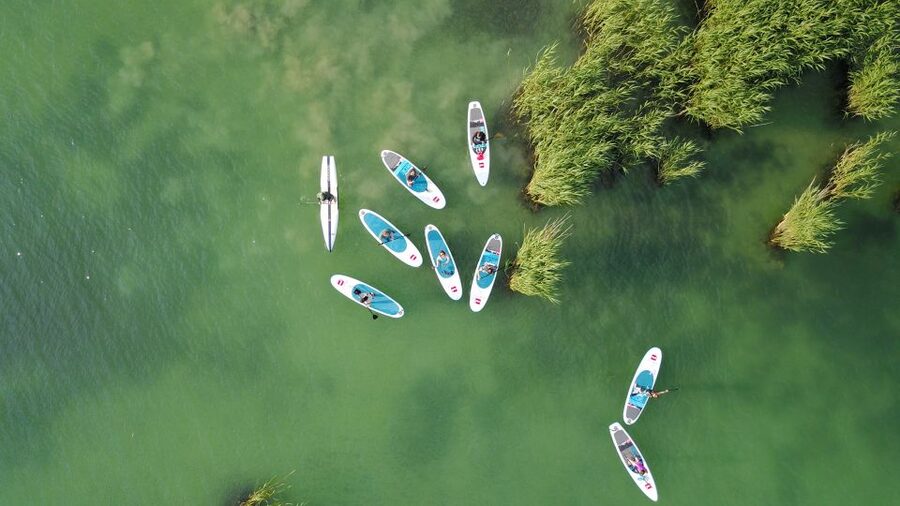 Lake Balaton: Paddle Board Tour of Tihany National Park - The 2 Hour Flow: What Happens After You Launch