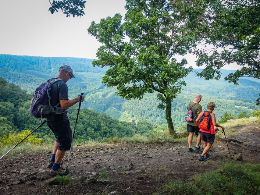 One Day Wonder Hike - The Essence of the Danube Bend - Predikaloszek viewpoint: where the Danube Bend picture happens