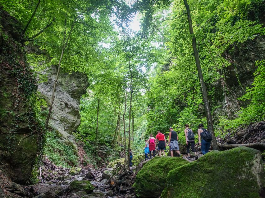 One Day Wonder Hike - The Essence of the Danube Bend - Price and value: is $170 fair for an 8-hour hike?