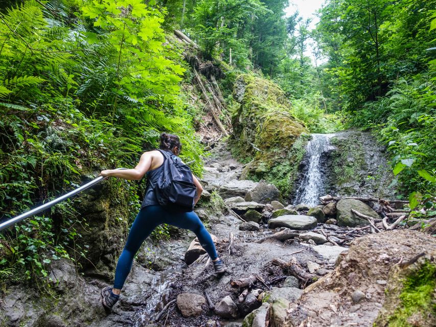 One Day Wonder Hike - The Essence of the Danube Bend - Who should book this Danube Bend hike (and who should reconsider)