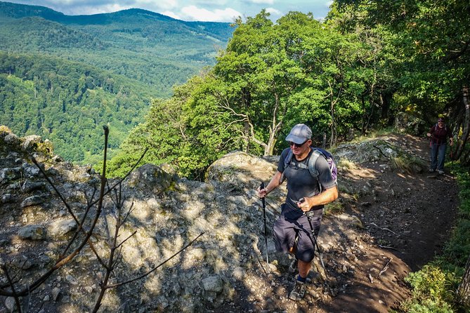 One Day Wonder Hiking Trip - Price and Value: $168.95 for a Full Day That Feels Planned