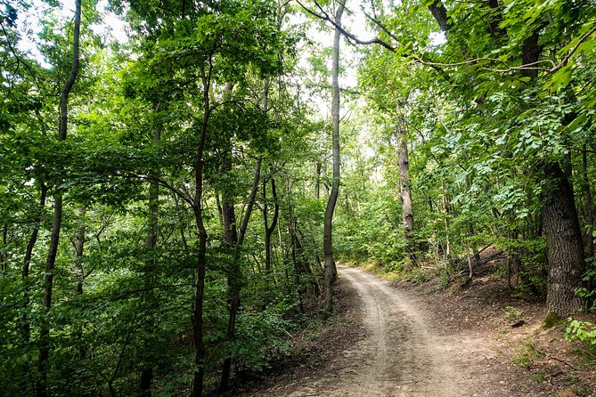 Panoramic hike around Budapest - Fairy Rock and the Hárs-Hegy Area: More Than One Viewpoint