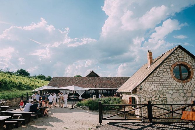 Private Etyek Wine tour with dinner including a Budapest Danube Evening Cruise - Budapest by night cruise: Chain Bridge, Buda Castle, Parliament, plus a 30-language audio guide