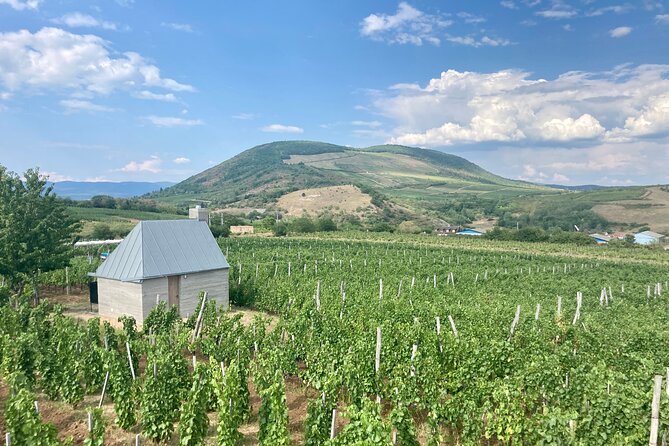 Private Full Day Tour to Eger - History, Culture and Wine - Egerszalók Salt Hill: the thermal terraces stop
