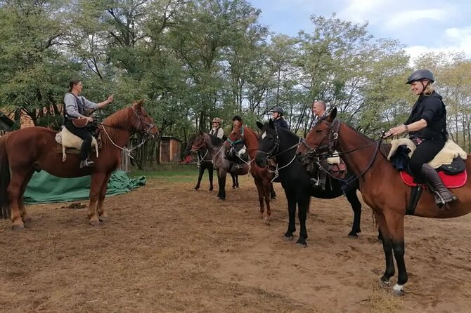 Private Horse Riding near Budapest with transport - The horses and instruction: comfort, safety, and control