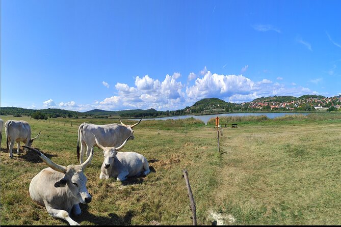 Private tour from Budapest to a top hidden treasure region of Europe: Lake Balaton - The private-vehicle format, and why it matters for a day trip