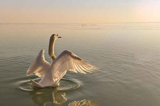 Private tour from Budapest to a top hidden treasure region of Europe: Lake Balaton - Balatonfüred promenade time, plus why villas and mansions are worth your attention