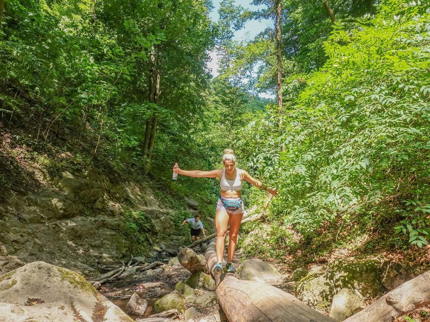 Ram Gorge Hiking Adventure - Wildlife and birdwatching vibes inside the gorge