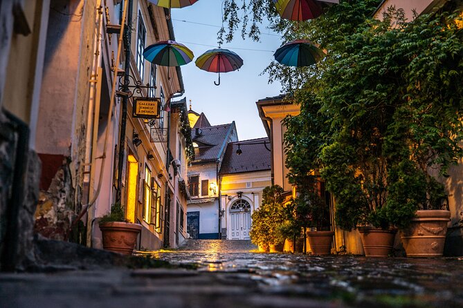 Scenic Danube River bend hills & the Art Town: Private Car Tour - Visegrád: Danube Bend Views and the Optional Castle Ruins