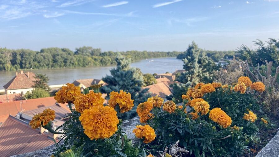 Szentendre: Arts and Cafés Tour (Half-Day Private Tour) - Should You Book the Szentendre Arts and Cafés Tour?
