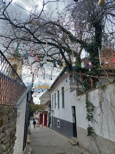 Szentendre: Half-Day Private Tour from Budapest - Roman’s coast and ruins: the quick “warm up” stop