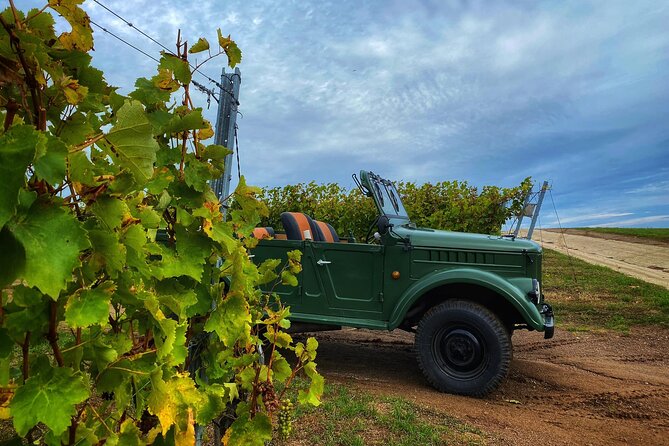 The only Wine Cocktail Club in Tokaj, Lunch & Fun, Hungary - Who should book this, and who might skip it