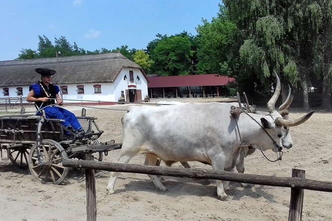 The "Puszta" Horse Show - Lajosmizse stables: horse show viewing that works for real life