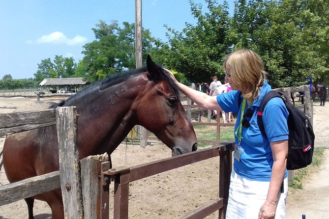 The "Puszta" Horse Show - Photography and timing: how to make the grandstand work for you