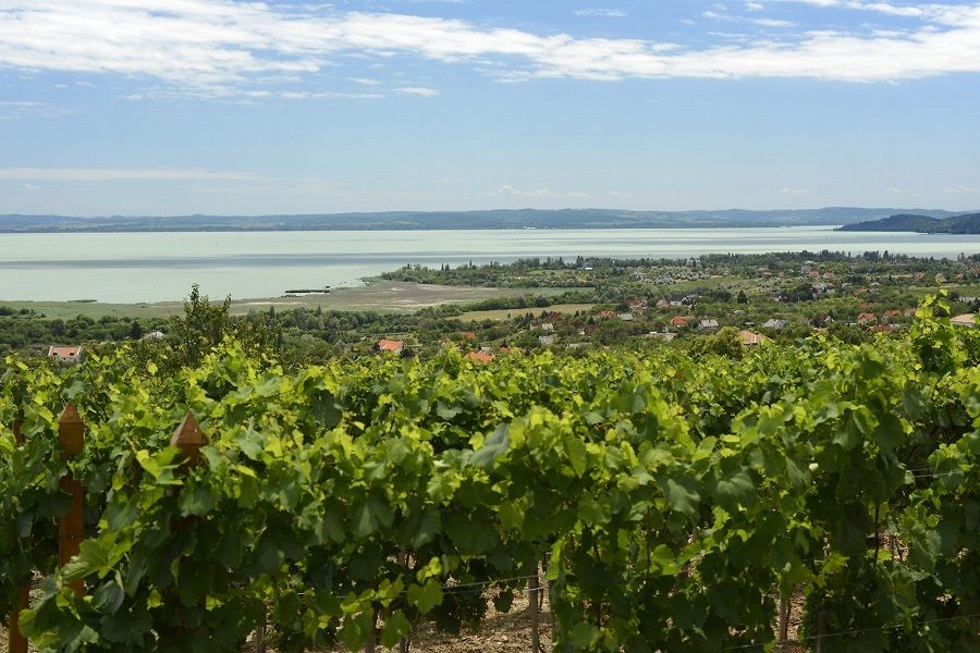 The Turquoise Sea of Hungary: Lake Balaton Private Tour - Lake Balaton private day trip, what makes it work