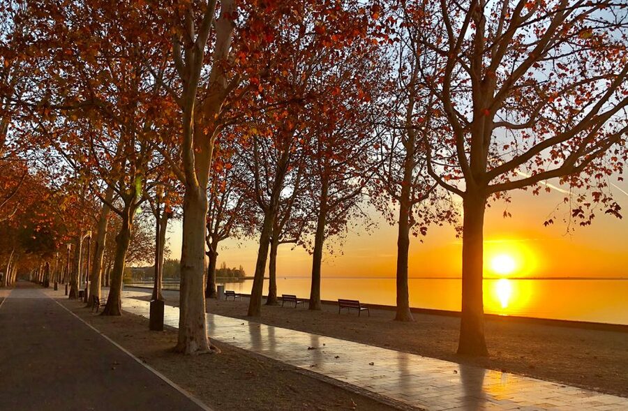 The Turquoise Sea of Hungary: Lake Balaton Private Tour - Returning to Budapest with time to decompress