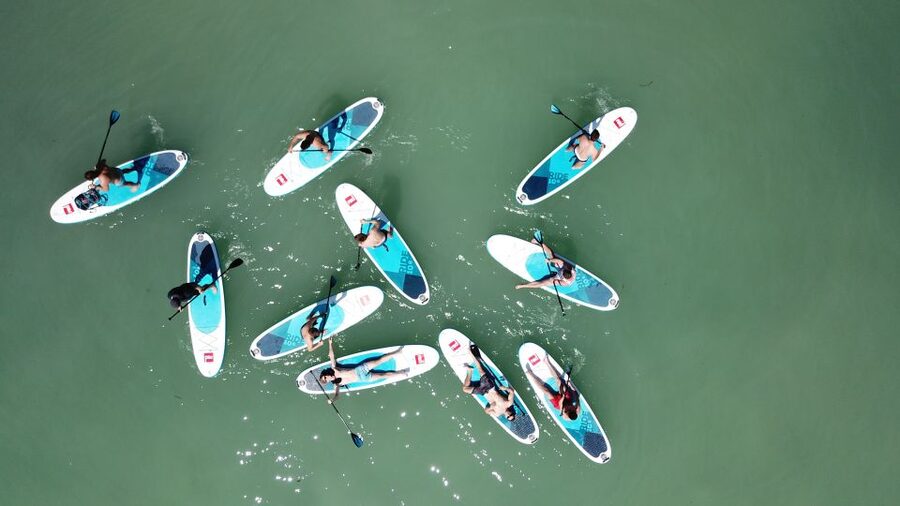 Tihany: SUP Course and Tour at Lake Balaton - Price, timing, and what $94 really buys you
