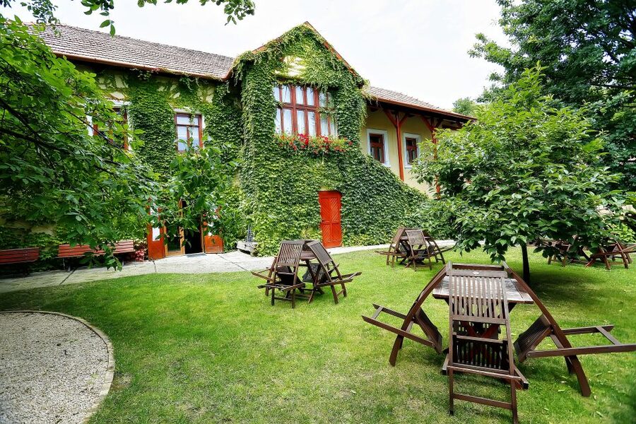 Tokaj: Classic Wine Tasting - Key things you’ll notice at Hímesudvar in Tokaj