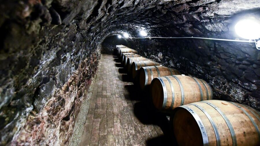 Tokaj: Classic Wine Tasting - What it’s like in real time: pace, group feel, and comfort