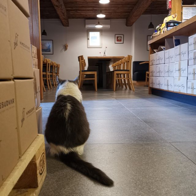 Tokaj: Classic Wine Tasting - Price and value for a $26 tasting in Tokaj