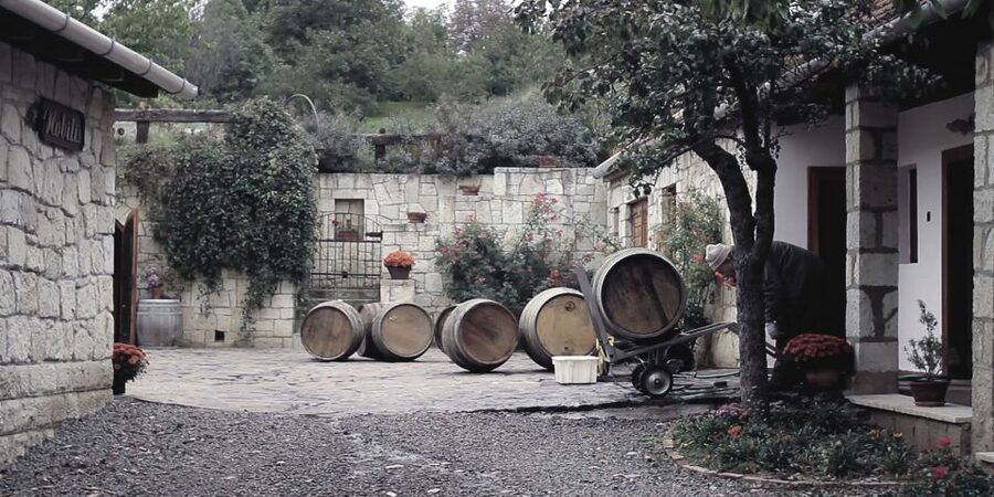 Tokaj Private Day Tour from Budapest - Key Things You’ll Remember From This Tokaj Private Day Tour