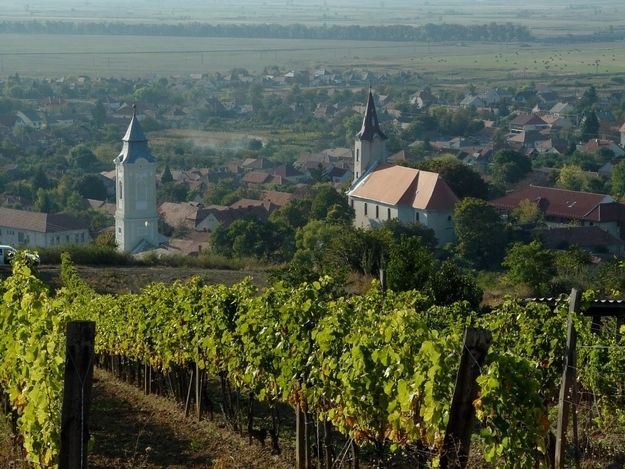 Tokaj Private Day Tour from Budapest - Tokaj’s Royal Reputation and Why It Starts Before You Sip