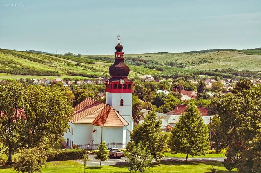 Tokaj Private Day Tour from Budapest - The Sárospatak Castle Note: Plan for Optional Costs
