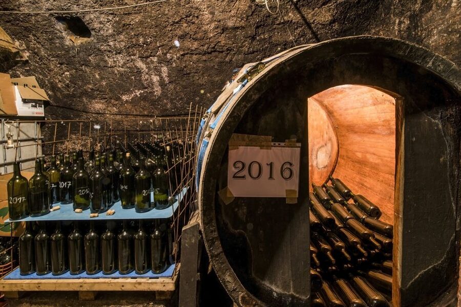 Tokaj Private Day Tour from Budapest - Should You Book This Budapest to Tokaj Private Day Tour?
