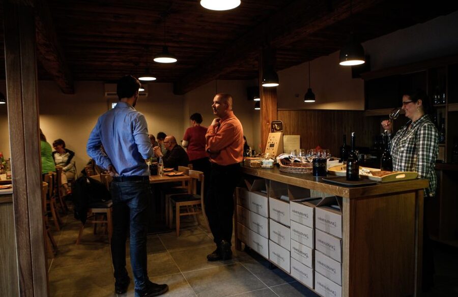 Tokaj: Vineyard Tour & Tasting - A 500-years-old cellar tied to King János Szapolyai