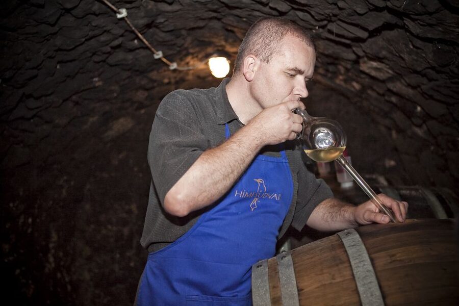 Tokaj: Vineyard Tour & Tasting - The 30 minute vineyard walk that sets the whole tasting up