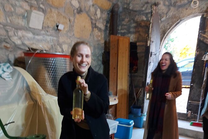 Wine Tasting in the Countryside from Budapest - Who this tour fits best