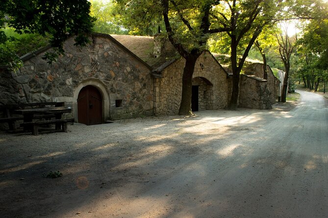 Wine Tasting in the Countryside from Budapest - Several wineries in one outing, so you taste breadth